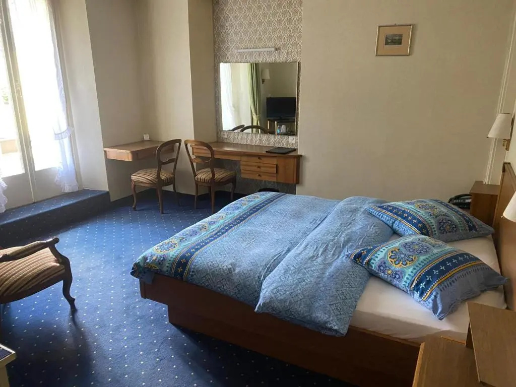 Standard Double room with mountain view (full double bed)