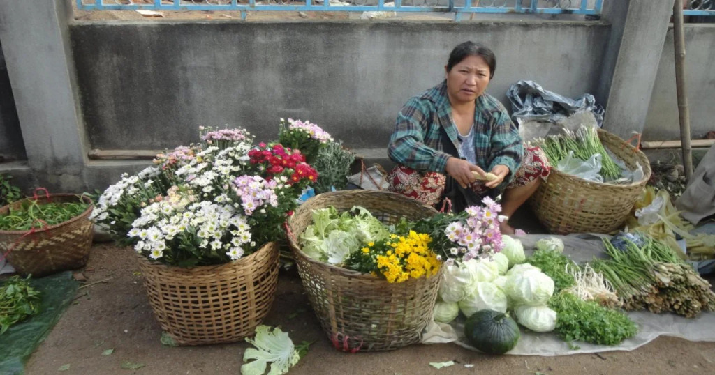 Harry'S Trekking House & Adventure Tours — фото 4
