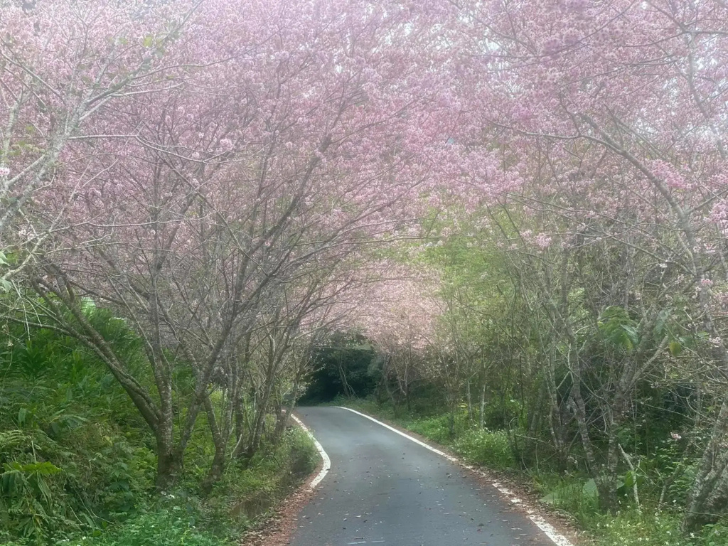 山旅民宿