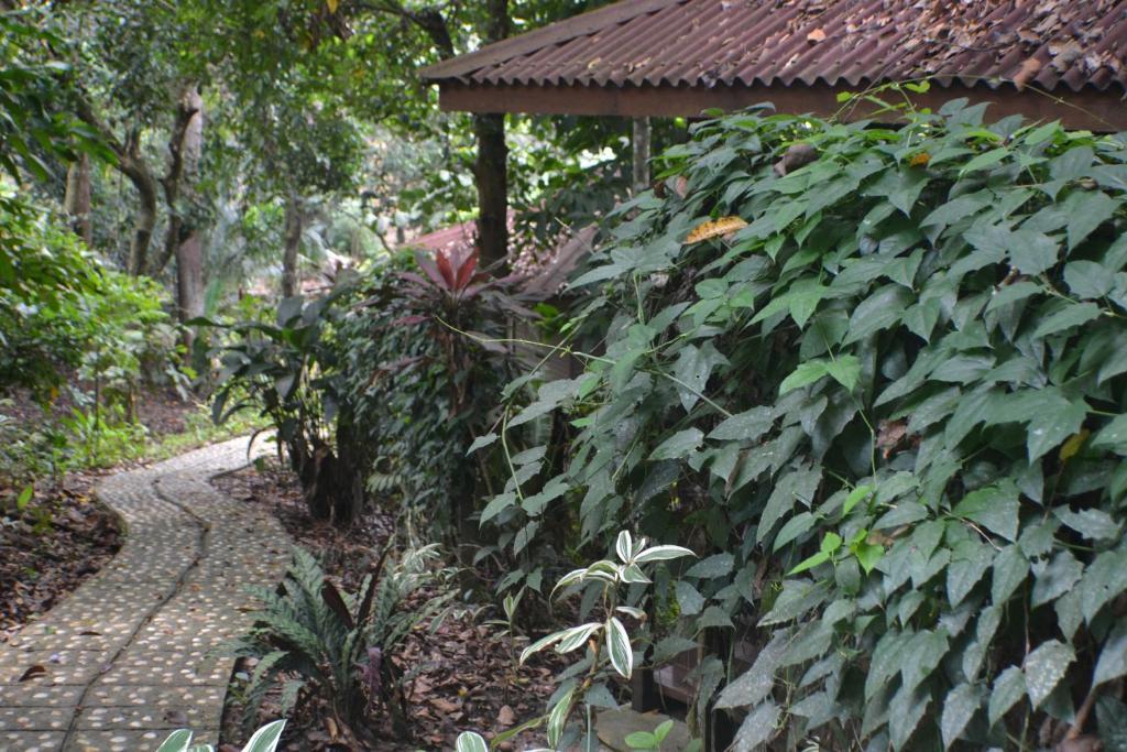 Sepilok Forest Edge Resort