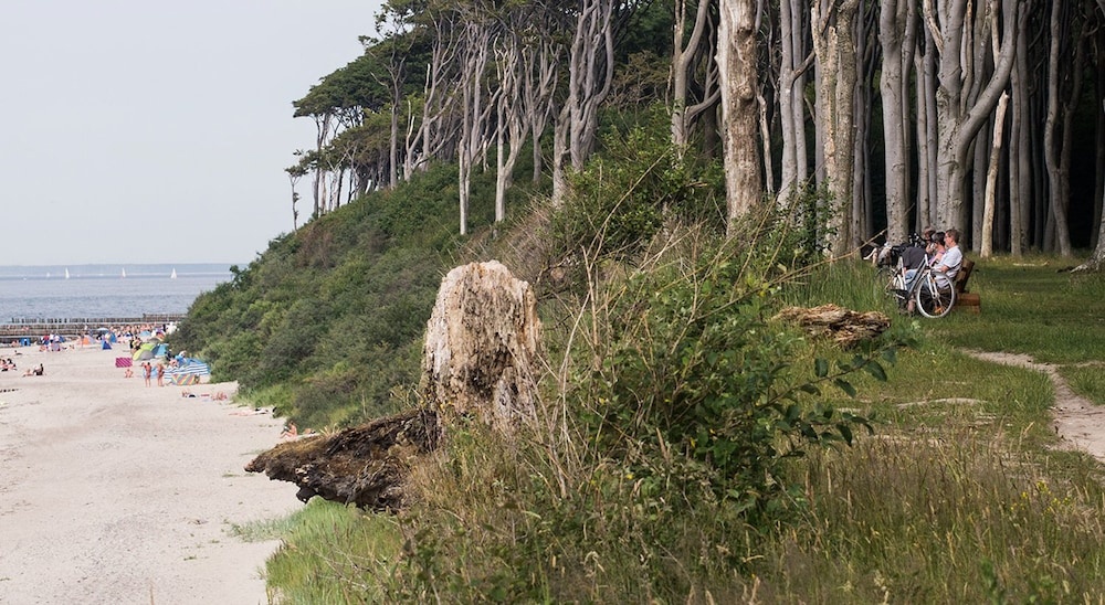 Beach & Waterfront