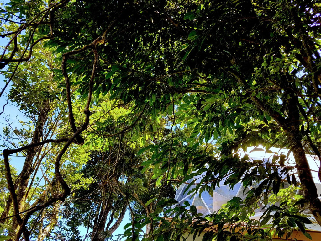 Chira Glamping Monteverde