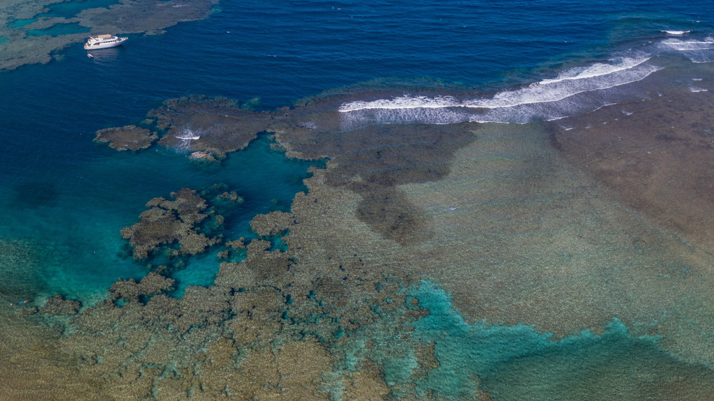 Utopia Beach Club - фото 26