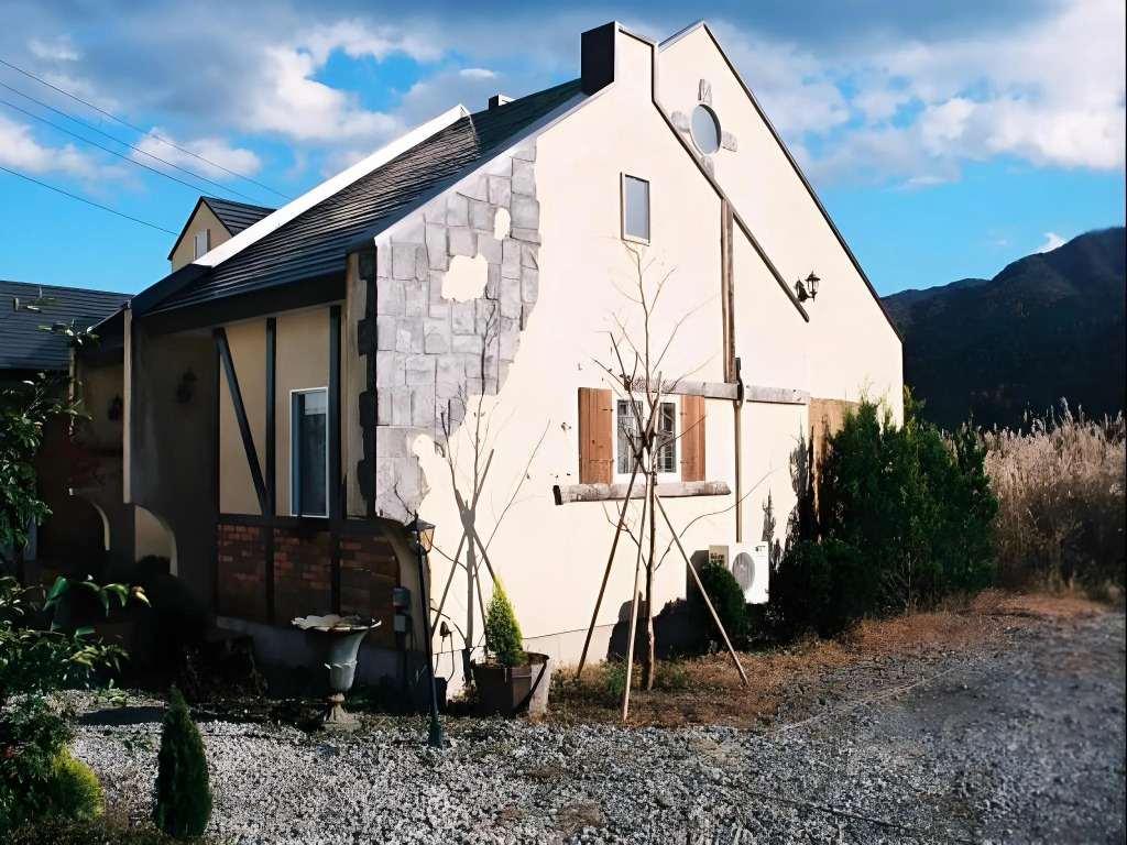 Image 6