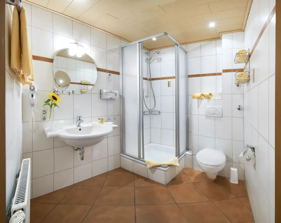 Hotel Hanauerhof - Chambres