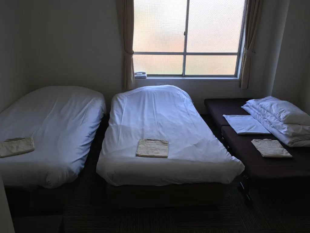 Standard Double room (twin beds)
