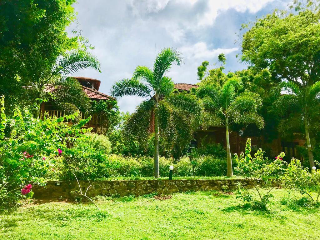 Eagles Nest Cabanas