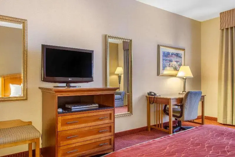 Comfort Inn & Suites I-25 Near Spaceport America - Général