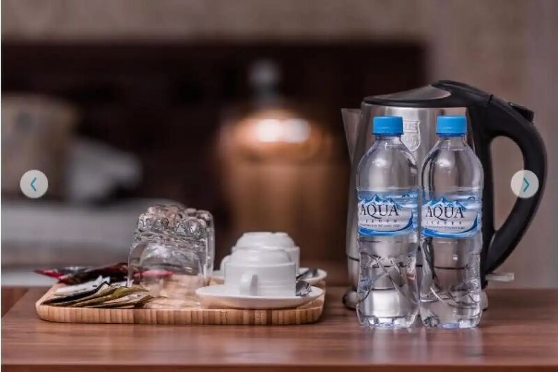 Одноместный номер Standard в Отель Michelin