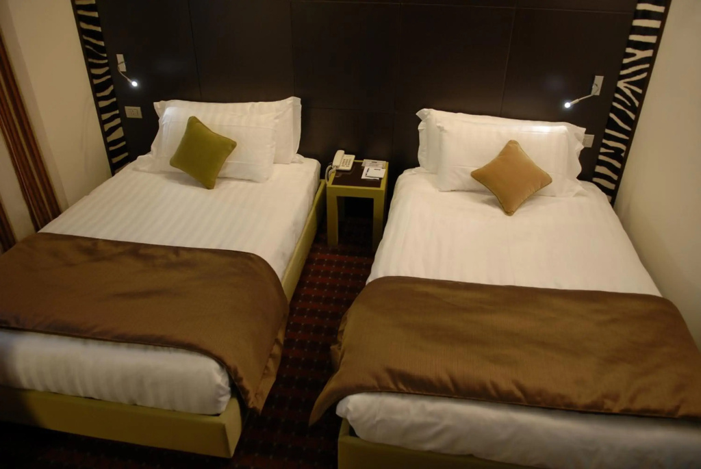 First Hotel Malpensa - Général