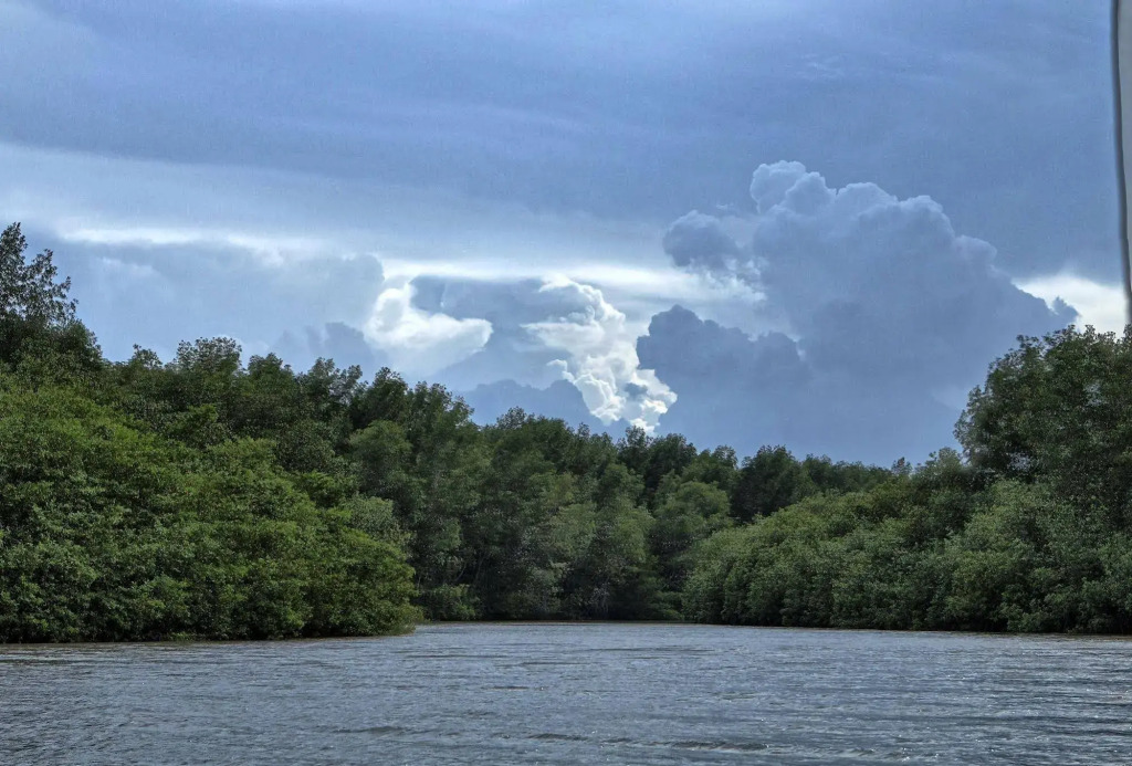 Porto Bello - фото 11