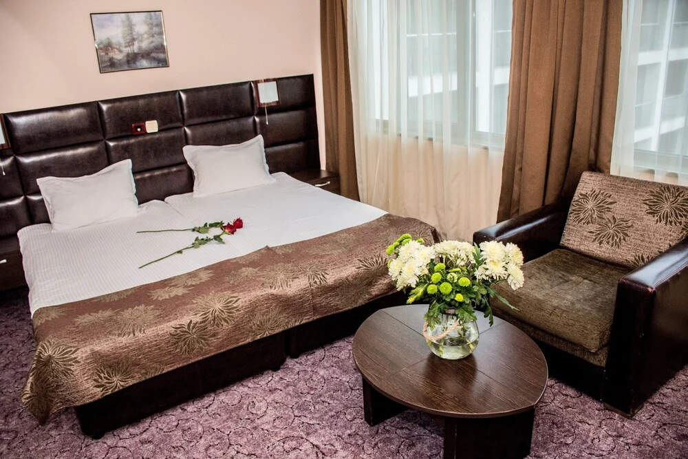 Zdravets Hotel Wellness & SPA - Général