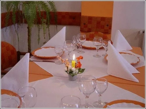 Vila Casa Alesiv - Général