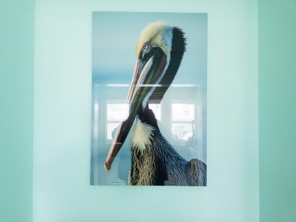 Rusty Pelican Home — 3