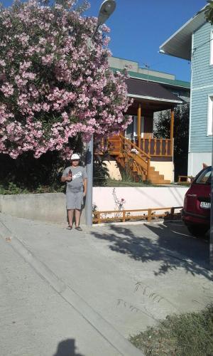 Гостиница Zelenaya Gorka Guest House в Сочи