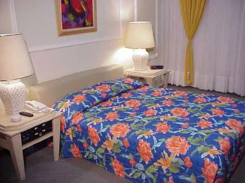 Salvador Praia Hotel - фото 3