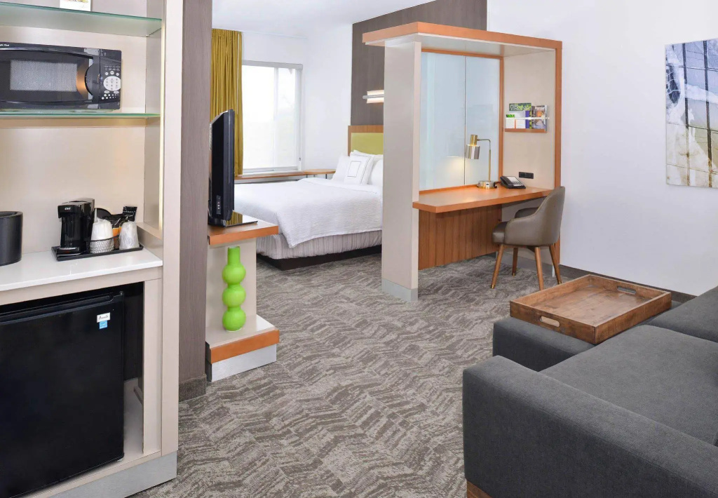 SpringHill Suites by Marriott Ashburn Dulles North - Général