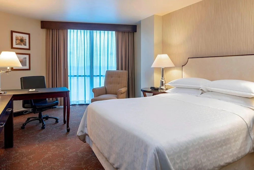Sheraton Houston Brookhollow Hotel - Chambres