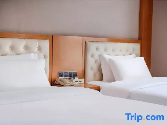 Jin-Tone 101 Hotel Nanning - Chambres
