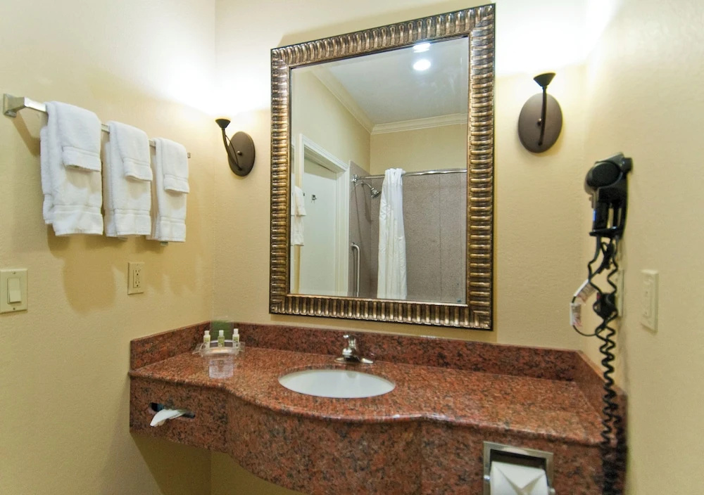Wyndham Lake Charles Hotel - Chambres
