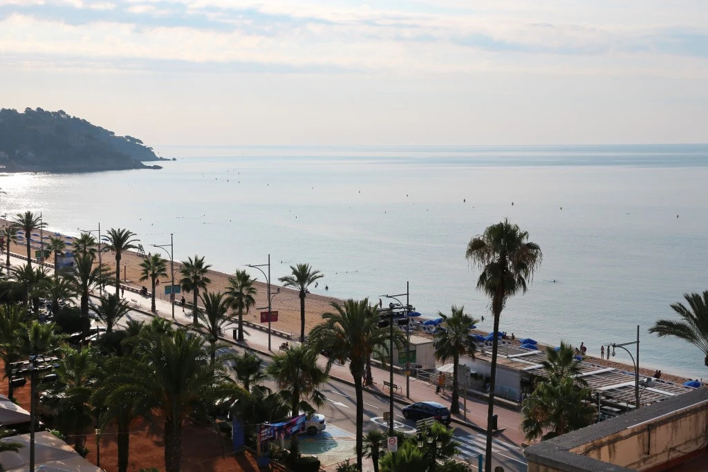 Beach & Waterfront