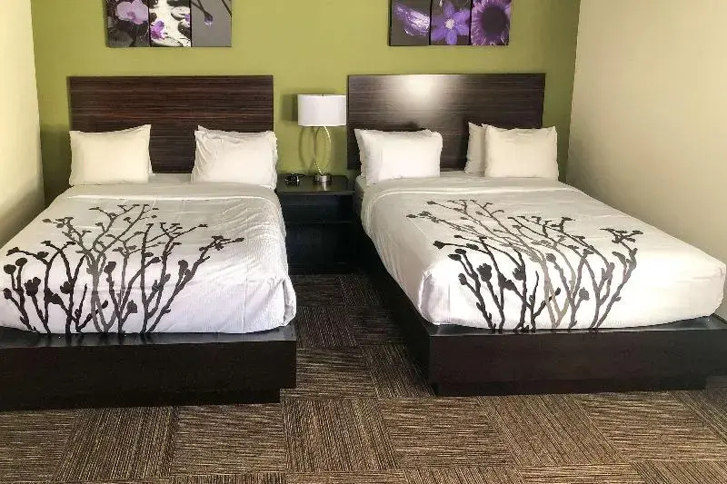 Sleep Inn & Suites Quebec City East - Chambres