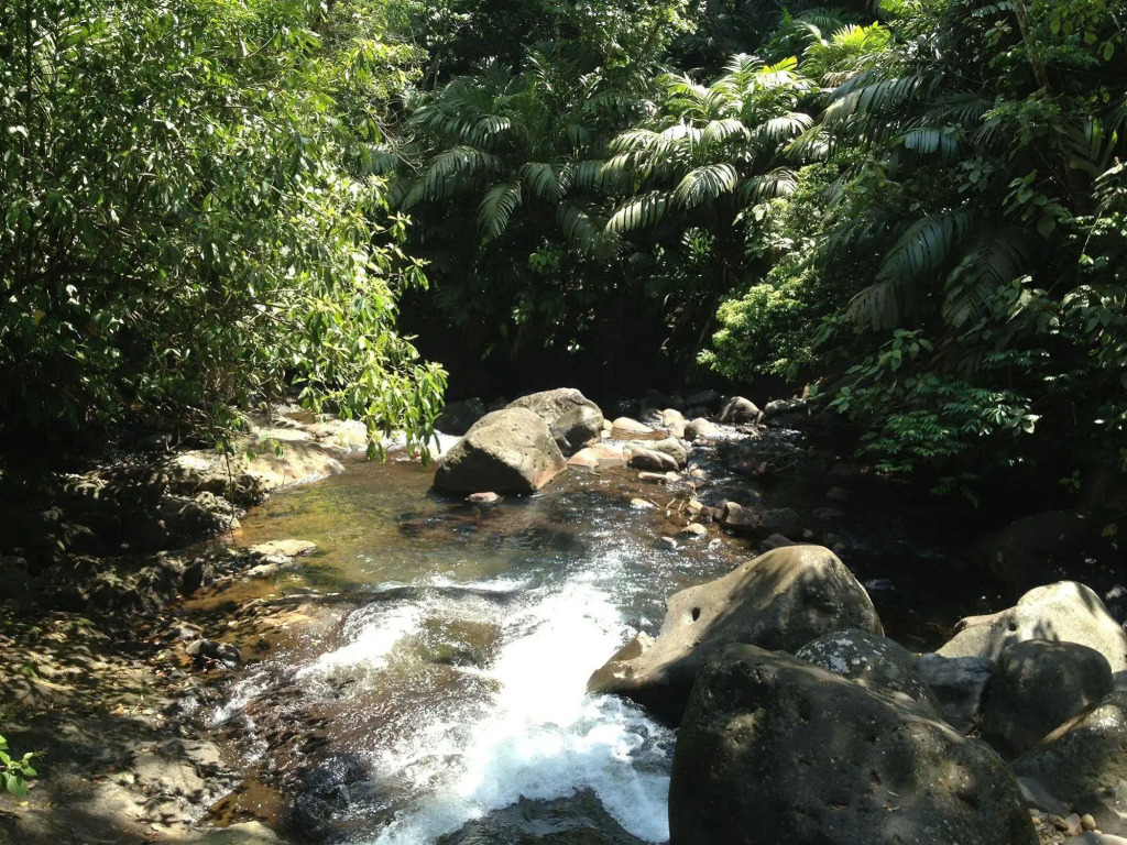 El Tucano Resort & Thermal Spa - фото 13