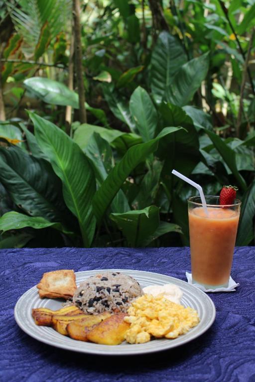 Hostal y Cabinas Tortuguero by null