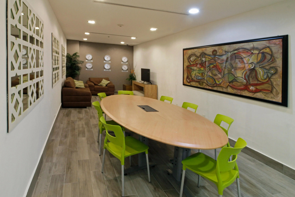 Holiday Inn Express & Suites Irapuato - Général