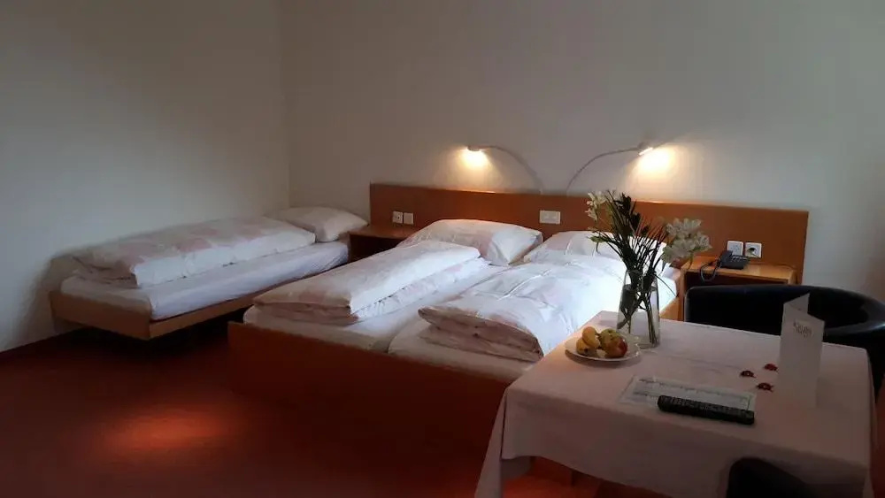 Hotel Schlosswald - Général