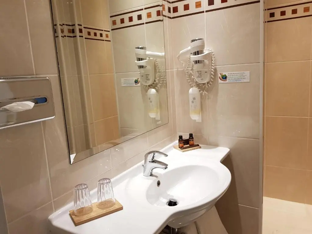 Standard Double room (twin beds)