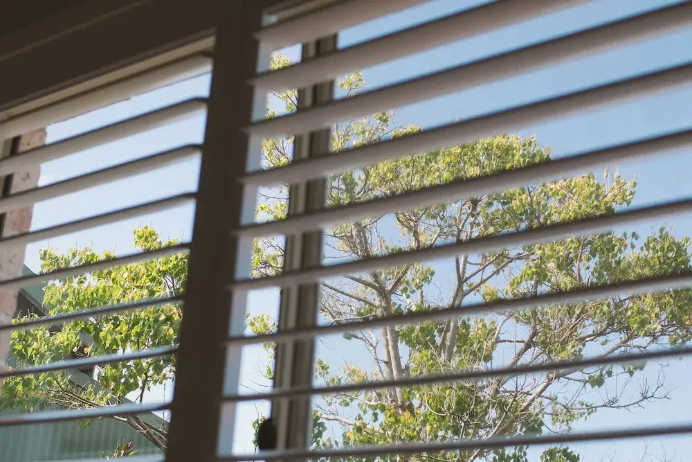 42 Banksia by the BnB Collection