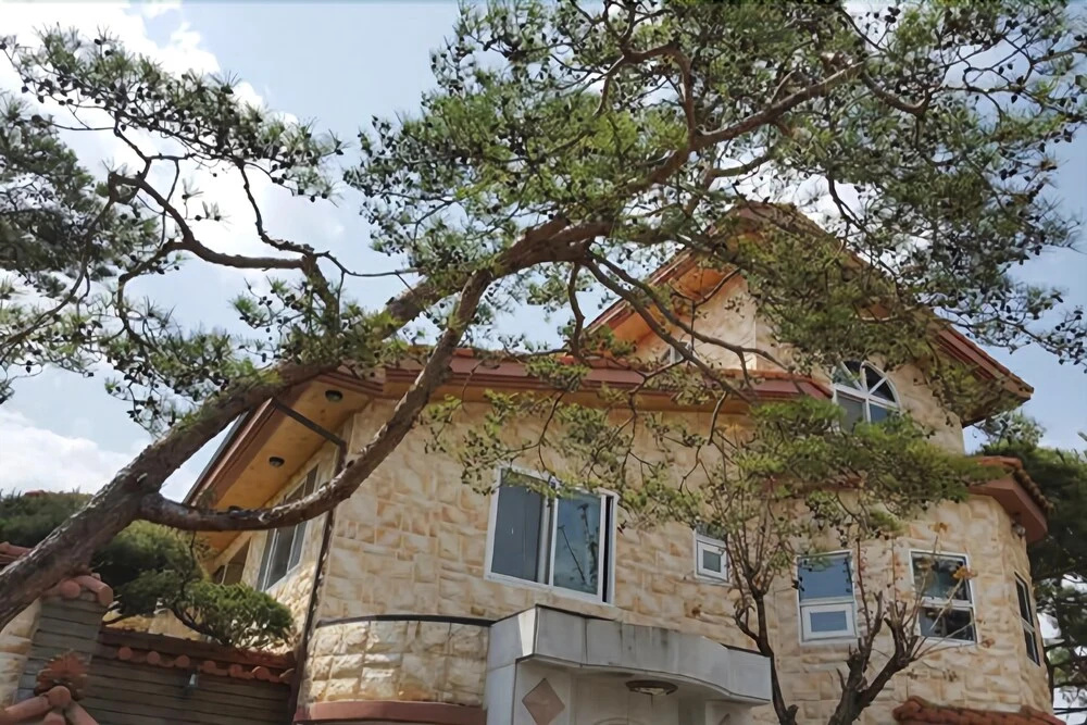 Boeun Bliss Villa Pension