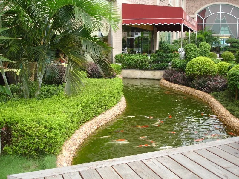 Hotel photo 14