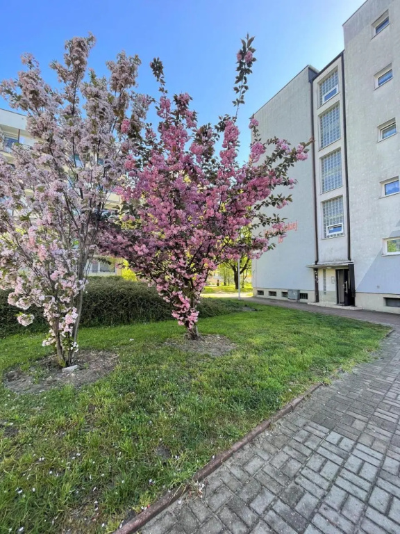 3L Apartments Kladka