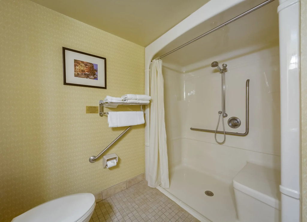 Monte Carlo Inn Barrie Suites - Général