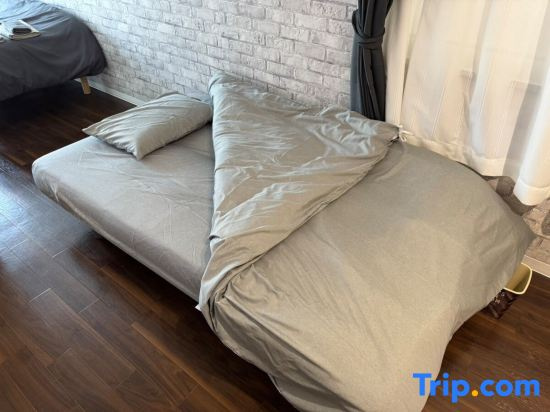 T-Stella 202 사진 2