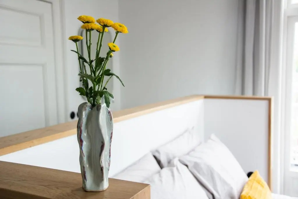Standard Double room with garden view (full double bed)