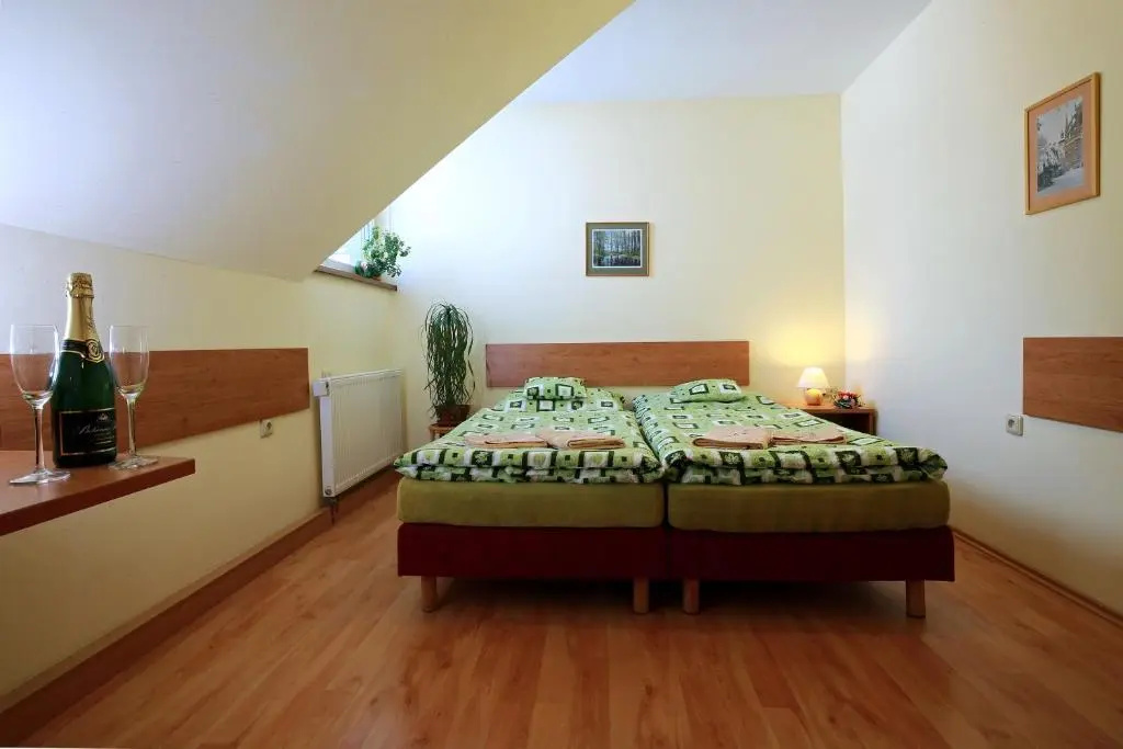 Wellness Penzion Pod Rozhlednou - Chambres