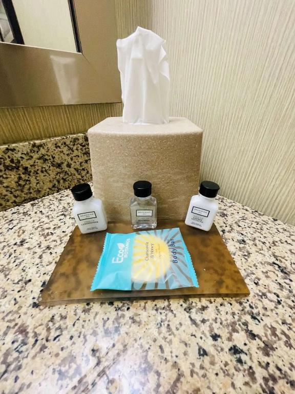 Brandywine Plaza Hotel, SureStay Collection by Best Western - Chambres
