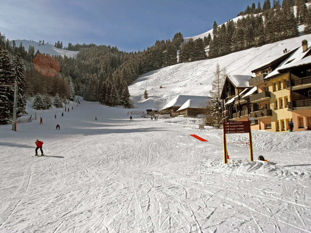 Chalet 1005
