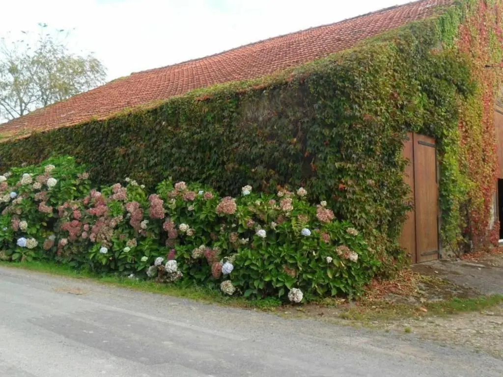 Afficher la photo 8 — Gîte Saint-Julien-des-Landes, 2 pièces, 3 personnes - FR-1-426-336