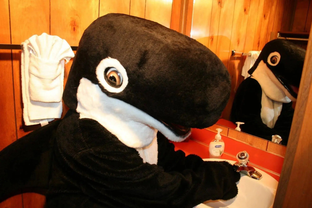 The Orca Inn - Général