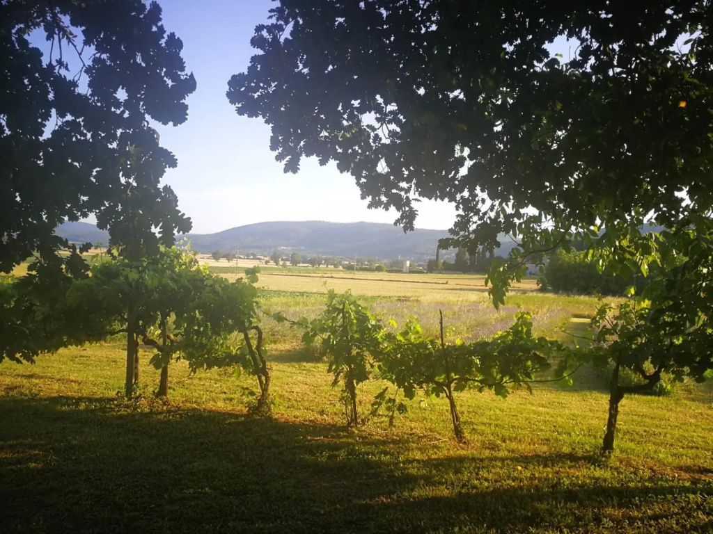 CASALE e GIARDINO a 10 minuti da SIENA