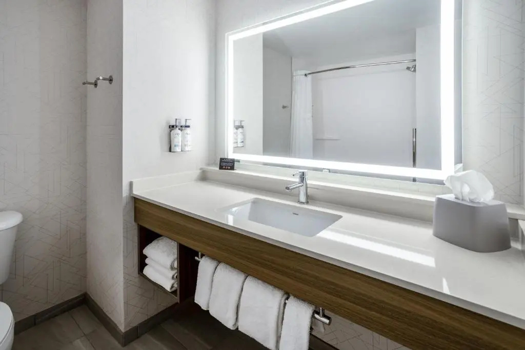 Holiday Inn Express Hotel & Suites New Tampa I-75 by IHG - Chambres