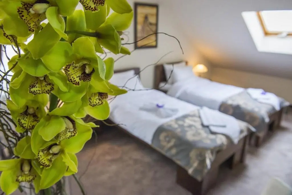 Central Lux Hotel Kragujevac - Chambres