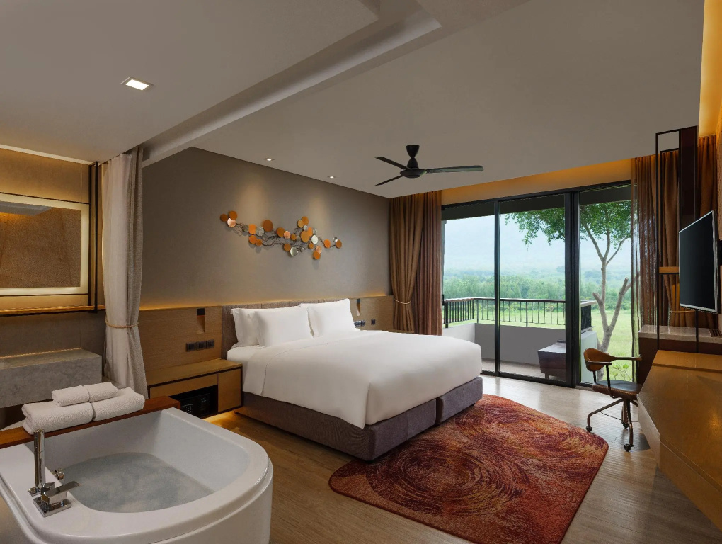 Deluxe Plus Double room (full double bed)