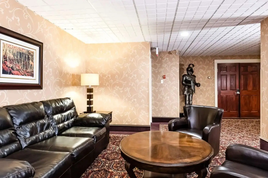Comfort Hotel Airport - Général