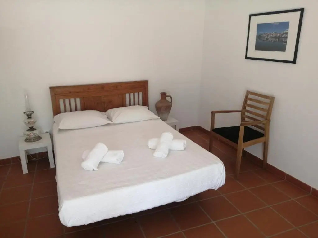 Standard Double room with mountain view (full double bed)