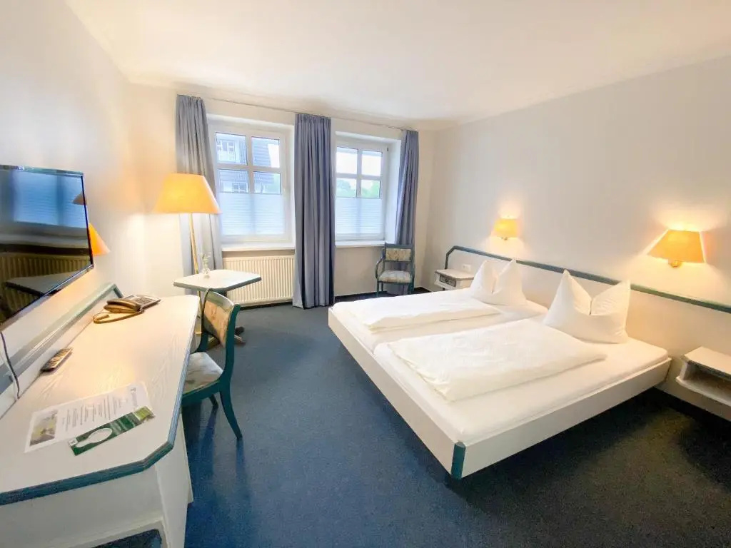 Standard Double room (full double bed)